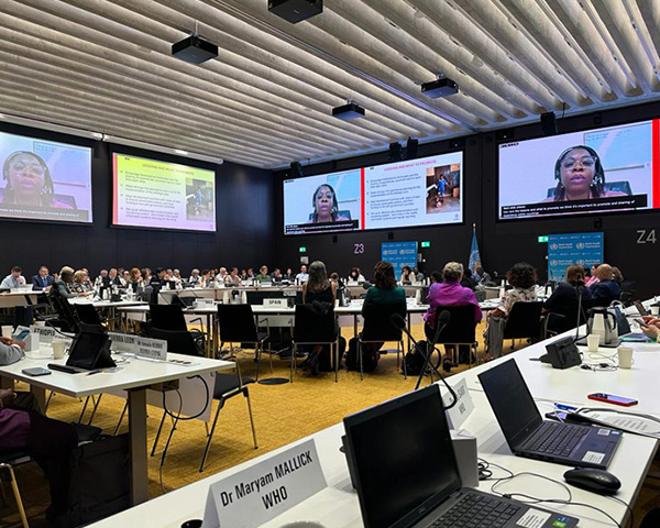 3rd Global Rehabilitation 2030 Meeting